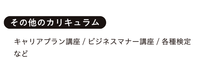 その他のカリキュラム